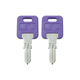 1 Pair (2 Pack) Global Link Precut Keys G301 - G391 RV Trailer Camper Keys